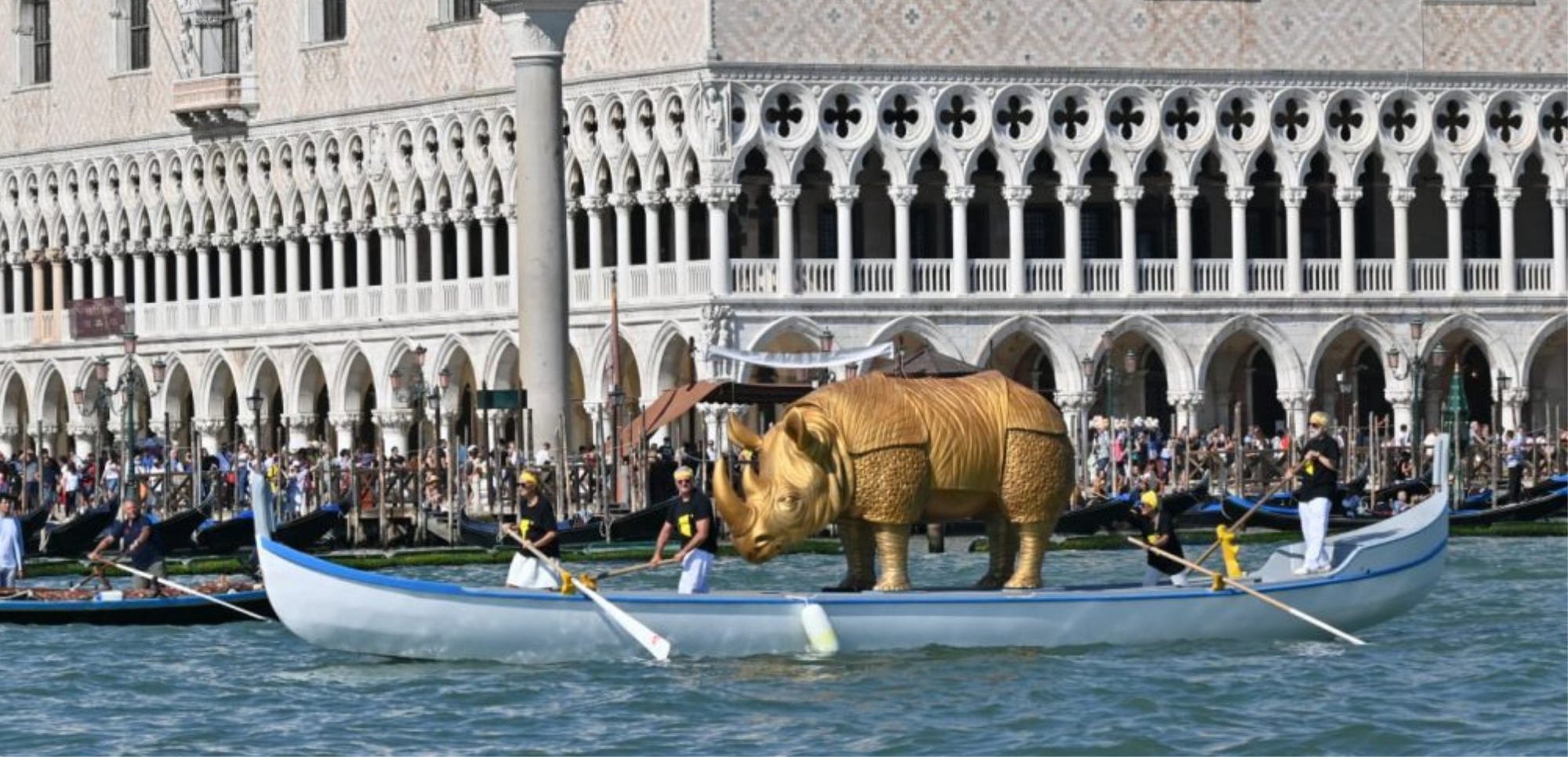 Rinoceronte Fellini al Lido di Venezia – Il Resto del Carlino